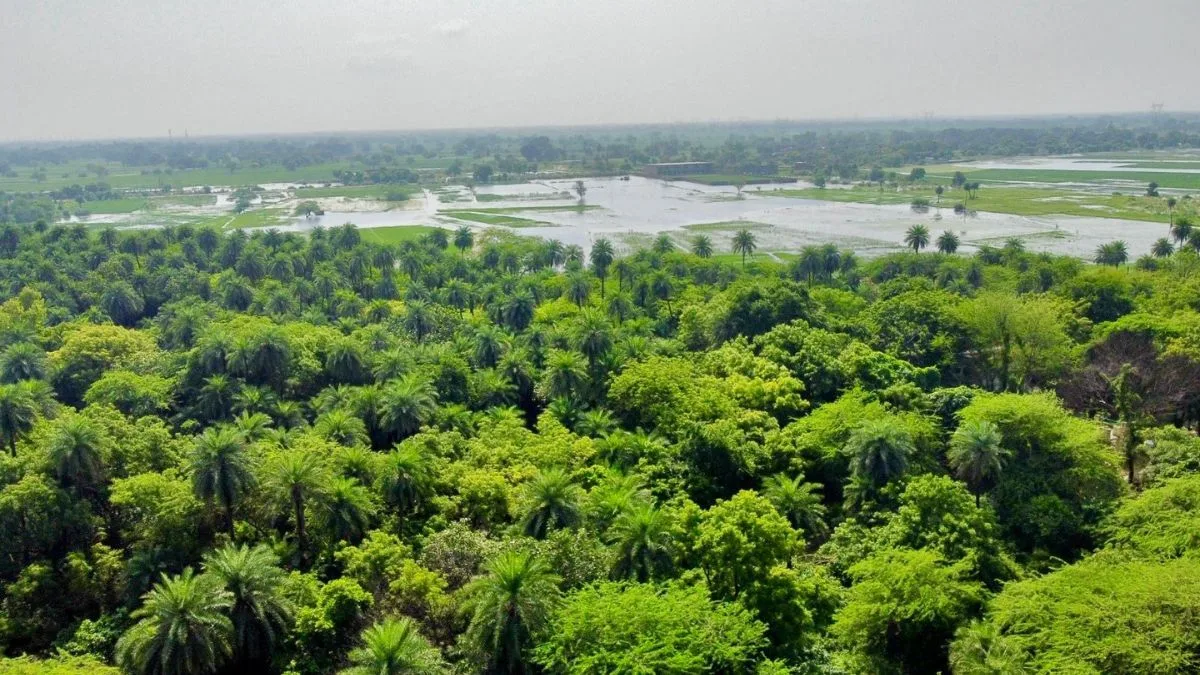 ജൈവം